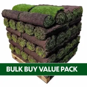 bulk rye gold lawn turf yeadon