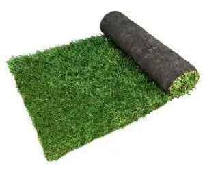 stadium lawn turf yeadon