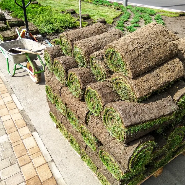 turf laying yeadon